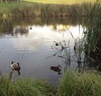 Harewood House Bed and Breakfast - Tourism Gold Coast