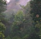 Havans Ecotourist Retreat - - Tourism Gold Coast