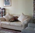 Hillview at Cooma - Tourism Gold Coast