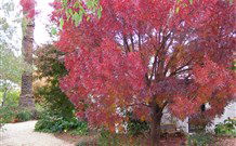 Langford House B&B - Tourism Gold Coast 4