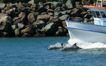 Mansfield By The Lake - Tourism Gold Coast 4