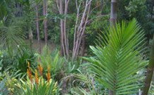 Old Convent River Retreat - Tourism Gold Coast 1