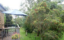 Peaceful Palms Bed And Breakfast - - Tourism Gold Coast 6