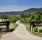 Pemberley Grange Hunter Valley Getaway - Tourism Gold Coast