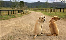 Pemberley Grange Hunter Valley Getaway - Tourism Gold Coast 1