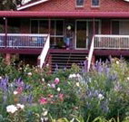 Rose Patch Bed and Breakfast - Tourism Gold Coast