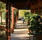 The Vineyard Motel - Tourism Gold Coast