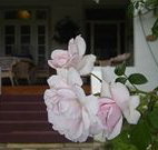 White House Heritage Guesthouse - Tourism Gold Coast