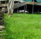 Snowy Valley Resort - Tourism Gold Coast
