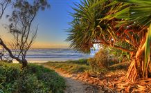 Andrea's Houses - Frangipani House - Tourism Gold Coast 4