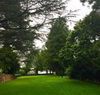 Brigalow Cottage - Tourism Gold Coast