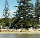 Bundle Hill Cottages - Tourism Gold Coast