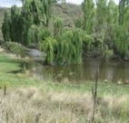 Cedar Grove - Tourism Gold Coast