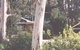 Chifley Dam Cabins - thumb 0