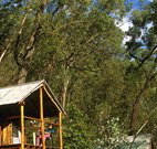 Coast and Country Cabins - Tourism Gold Coast