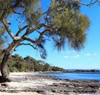 David Jones Cottage - Tourism Gold Coast