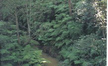 Eco Huts - Jervis Bay Getaways - Tourism Gold Coast 1