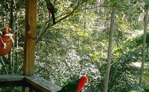 Eco Huts - Jervis Bay Getaways - Tourism Gold Coast 2