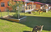 Ecoasis - Tourism Gold Coast 1