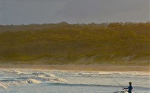 Ecoasis - Tourism Gold Coast 8