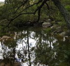 Fieri Natura - Tourism Gold Coast