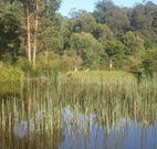 Fosterton Lodge Retreat - Tourism Gold Coast