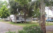 Gum Tree Heaven - Tourism Gold Coast 0