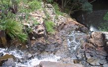 Nungatta NSW Tourism Gold Coast