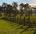 Hidden Treasure - Tourism Gold Coast