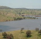 In The Heart Of Husky - Tourism Gold Coast