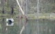 Kookaburra Cottage Pooncarie - thumb 6