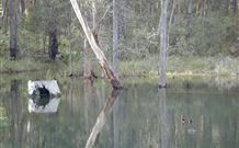 Kookaburra Cottage Pooncarie - Tourism Gold Coast 6