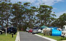 Lake Glenbawn Holiday Cottages - Tourism Gold Coast 2