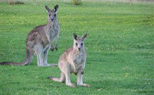 Leslie Cottage - Tourism Gold Coast 6