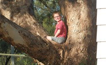 Leslie Cottage - Tourism Gold Coast 7