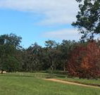Mulberry Cottage - Tourism Gold Coast