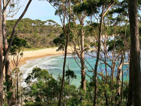 Allawah Cabins - Tourism Gold Coast 2