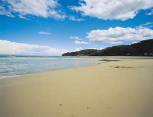 Jervis Bay NSW Tourism Gold Coast