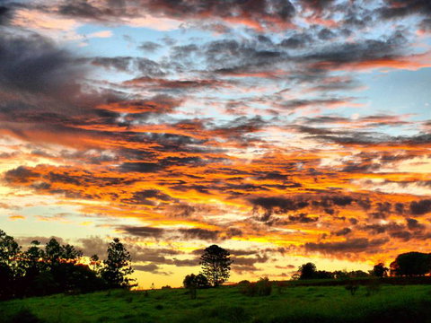 Yarraman Caravan Park & Cabins - Tourism Gold Coast 9
