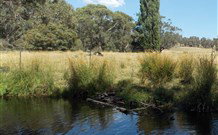 Pinegrove Cottage - Gold Coast 3