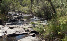 Pinegrove Cottage - Gold Coast 4