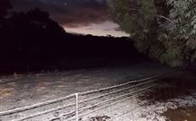 Pinegrove Cottage - Gold Coast 7