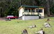 Port Pitstop Cottage - thumb 0