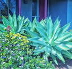 Retreat Homestead - Tourism Gold Coast