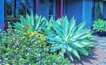 Retreat Homestead - Tourism Gold Coast 0