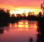 Roches Family Hotel - Tourism Gold Coast