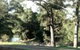 Rustic Caravan Park - thumb 0