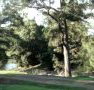 Rustic Caravan Park - Tourism Gold Coast