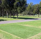 Spotted Gums on Hermitage - Tourism Gold Coast