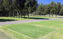 Spotted Gums On Hermitage - Tourism Gold Coast 0